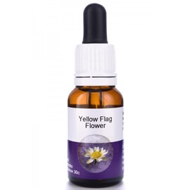 Living Essences Yellow Flag Flower Essence 50 ml