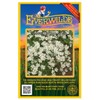 Everwilde Farms - 2000 White Upland Aster Native Wildflower Seeds