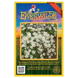 Everwilde Farms - 2000 White Upland Aster Native Wildflower Seeds - Gold Vault Jumbo Seed Packet