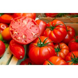 Fresh 120+ BEEFSTEAK TOMATO SEEDS - LARGE - HEIRLOOM - NON GMO - ORGANIC ------- FRESH