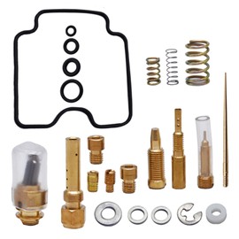 Carburetor Carb Rebuilt Repair Kit for Arctic Cat 250 300 375 500 with Choke Starter Plunger Valve