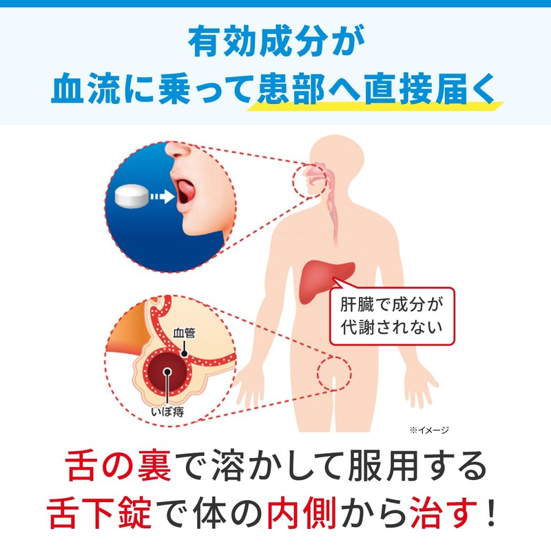 【第2類医薬品】ヘモリンド舌下錠 40錠