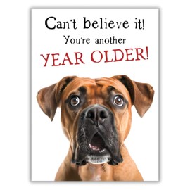 Noel Tatt Funny Birthday Card - Happy Birthday Card for Men or Women with Humorous 'Can't Believe It! You're Another Year Older' Dog Design