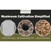 Mushroom Grow Kit (Quick Kit)