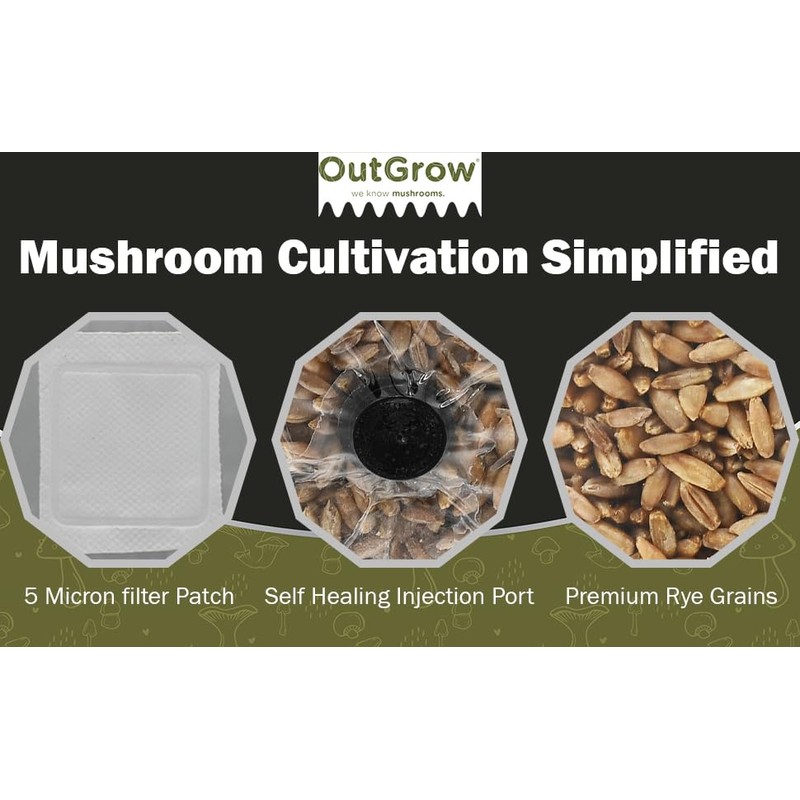 Mushroom Grow Kit (Quick Kit)
