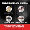 Ortho Orthene Ant Bait - Effective Indoor Ant Killer