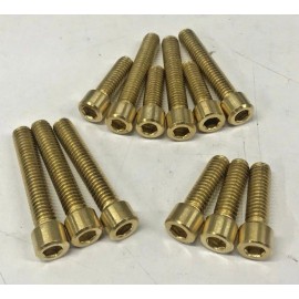 diycycleparts HARLEY SOFTAIL TWIN CAM BRASS ALLEN ROCKER BOX BOLTS cylinder head cover bobber