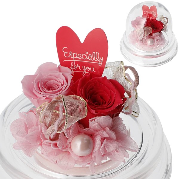 Preserved Flower Gift Present Petite (Twin Heart)