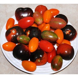 THIS IS A MIX!! 30+ Cherry Tomato Mix Seeds 10 Varieties Heirloom NON-GMO, US Grown! Black Cherry, Red Pear, Yellow Pear, Black Truffle, Sungold, Indigo Apple Tomatoes