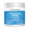 ImmunoPower Daily Electrolyte Powder Drink Mix – Fruit Punch, 60