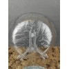 Arcoroc Set Of 4 Arcoroc Canterbury Dinner Plates Floral Clear