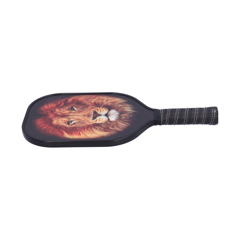 LEIJIAER Pickleball Paddle Set Carbon Fiber Face Racket with 2Pcs