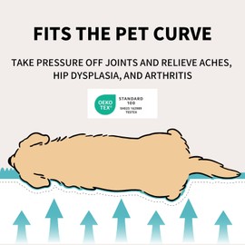 Wagsage Cute Couch for Pets, Fluffy Pets Sofa with Soft Corduroy Fleece, Supportive Pet Sofa with Non-Slip Bottom, 40inch, Cream