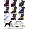 FRIENDLY (Known as Friendly) Green Colour Coded Neoprene Padded Dog