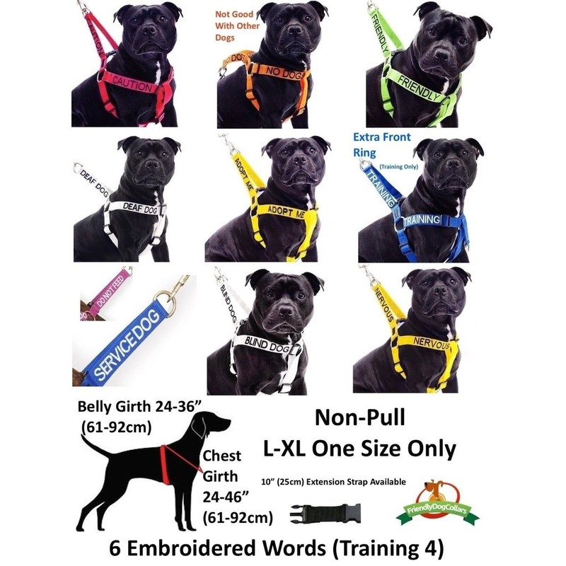 FRIENDLY (Known as Friendly) Green Colour Coded Neoprene Padded Dog