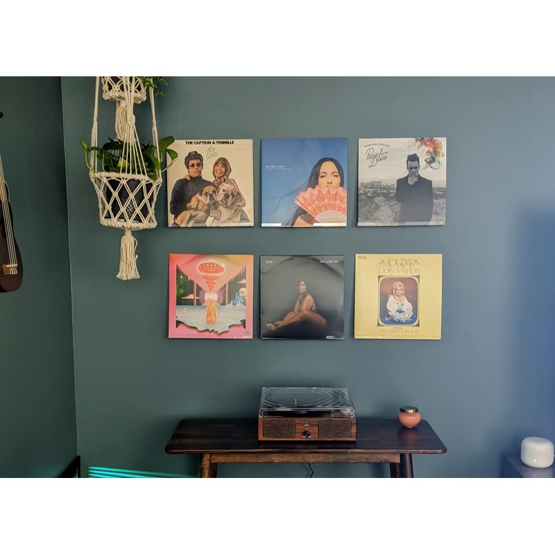 HIIMIEI Acrylic Vinyl Record Wall Mount Shelf, Holder for LP