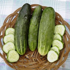 Ashley Cucumber Garden Seeds - 3 g Packet ~100 Seeds - Non-GMO, Heirloom Vegetable Gardening Seed - Cucumis sativas