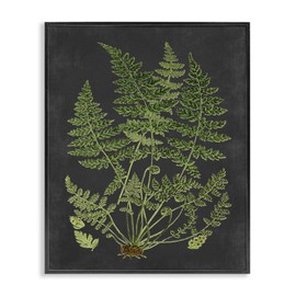 Stupell Industries Botanical Drawing Green Black Design Canvas