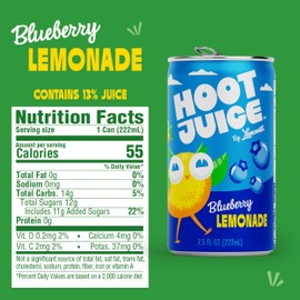 Hoot Juice Lemonade By Lemonati, No Artificial Sweeteners or Flavors, Gluten-Free, Kosher, Non-GMO, Vegan, 7.5 Fl Oz Mini-Cans, Pack of 24, Blueberry