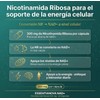 NAD+ Resveratrol Nicotinamida Ribosa 300mg Kit 2 Frascos