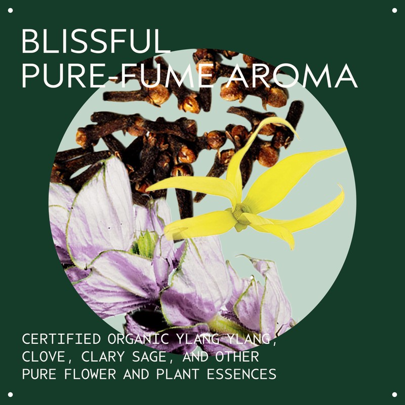 Aveda Control Paste Hair Pomade | Medium Hold Pomade |