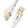 CAT8 cable.