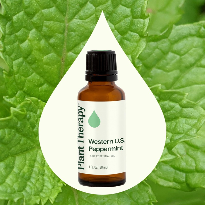 Plant Therapy Peppermint Western U.S. Essential Oil 30 mL (1