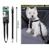 Smart Choice Seat Belt Connector Strap for Dogs, Black, 0.0869