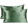 Silk Pillow Pases 2 Pack - Silk Pillowcases with Envelope