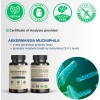 Vinatura Akkermansia Probiótico Con 60 Capsulas Hecho Usa