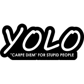 YOLO Carpe Diem for Stupid People Bumper, Funny, Humorous, Joke, I Make Decals, 3 inch x 7 inch, Hard Hat, Phone, Tool, Lunch, Box, Vinyl, Decal, Sticker