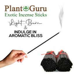 Dragons Blood Exotic Incense Sticks 11 Inch - Bulk 1 Bundle 85 to 100 Sticks - Natural 11" Long Lasting Aroma That Burns for 45 to 60 Minutes.