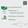 Allgäuer Latschenkiefer Spider Veins Care Balm with Light Shimmer for