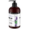ApotheCARE Essentials The Colorist Shampoo, Lavender, Moroccan Mint, Cactus Milk,