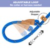Petarea Petarea 5 FT Slip Lead Dog Leash, Heavy Duty