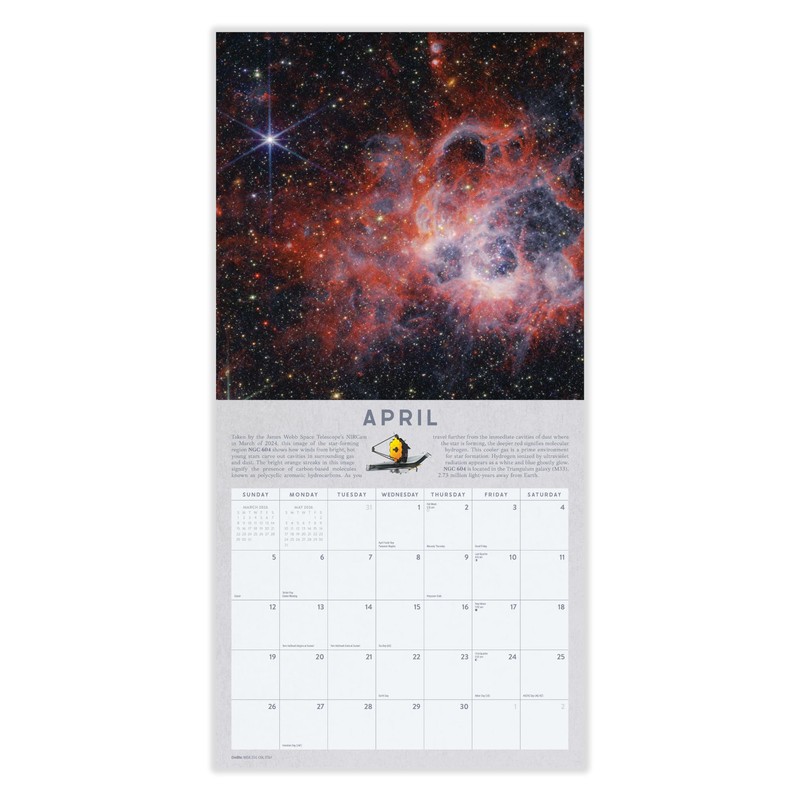James Webb Calendar 2026 | 12" x 24" Space Telescope