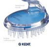 SH1 Shampoo and Scalp Massage Brush (Blue)