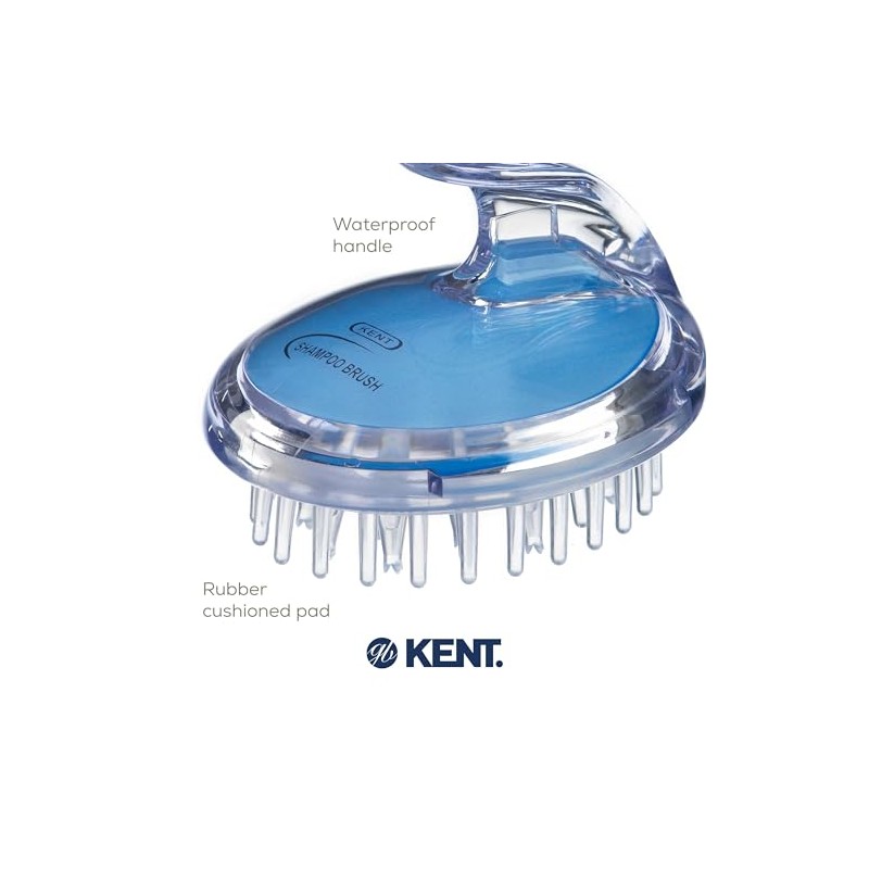 SH1 Shampoo and Scalp Massage Brush (Blue)