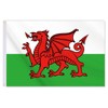 24x36 Inch Welsh Flag,Big 2x3 FT Wales Dragon Flag,Medium Size