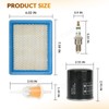 CLUBRALLY Golf Cart Tune Up Kit for Club Car DS