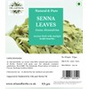 Oils and Herbs 100% Dried Senna Leaves 50 GMS Clean