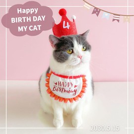 Dog, Birthday, Hat, Headwear, 3-Piece Set, Includes Numbers, Cat Birthday Goods, Hat for Pets, Birthday Set (Blue)
