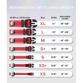TagME Small Dog Collar, Reflective Puppy Collar, Royal Blue, 3/8" Width