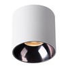 Aisilan Cylinder Ceiling Spotlight, Modern LED Ceiling Spot Lights Indoor,