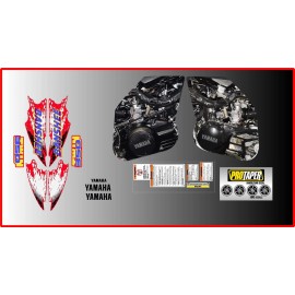 Banshee Mini Electric ATV Toy 1996 GRAPHICS kit ENGINE AND WARNINGS DECALS