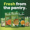 Pacific Foods Organic Butternut Squash Soup With Cinnamon and Nutmeg,