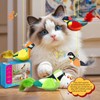 4PCS Interactive Hanging Bird Cat Toys Set - with Catnip,