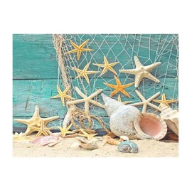 Beach Ocean Theme Starfish Seashell Tumblers Home Decor Wall Art Decal Sea Life Nautical Conch Teal Self-Adhesive Wall Decal for Dorm Classroom Laptop Outdoors Vinyl