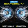 42 V Large Wind Fan, Set of 2, 5 Blades,