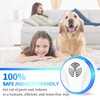 Ultrasonic Pest Repellent Indoor Plug in - Rodent & Mice